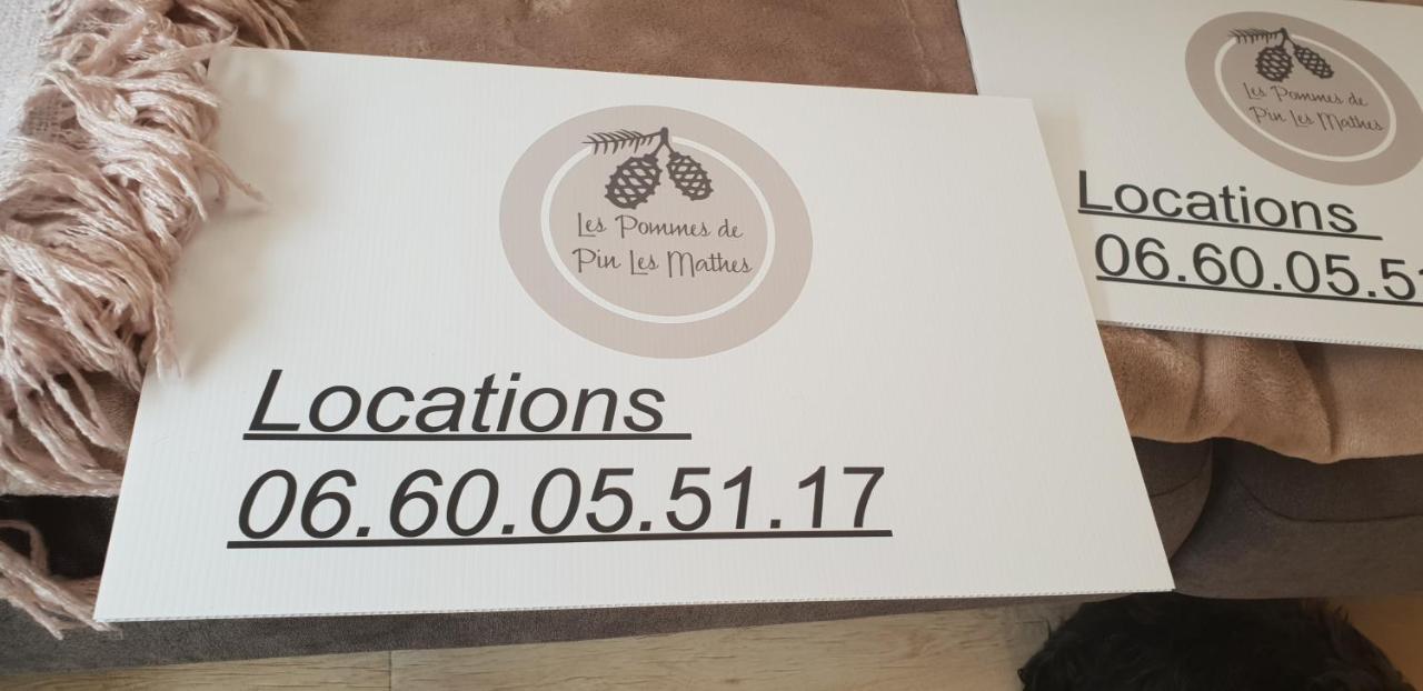 Mobil'home 2 à 4 pers Les Mathes La Palmyre , chèques vacances acceptés Camping Les Mathes